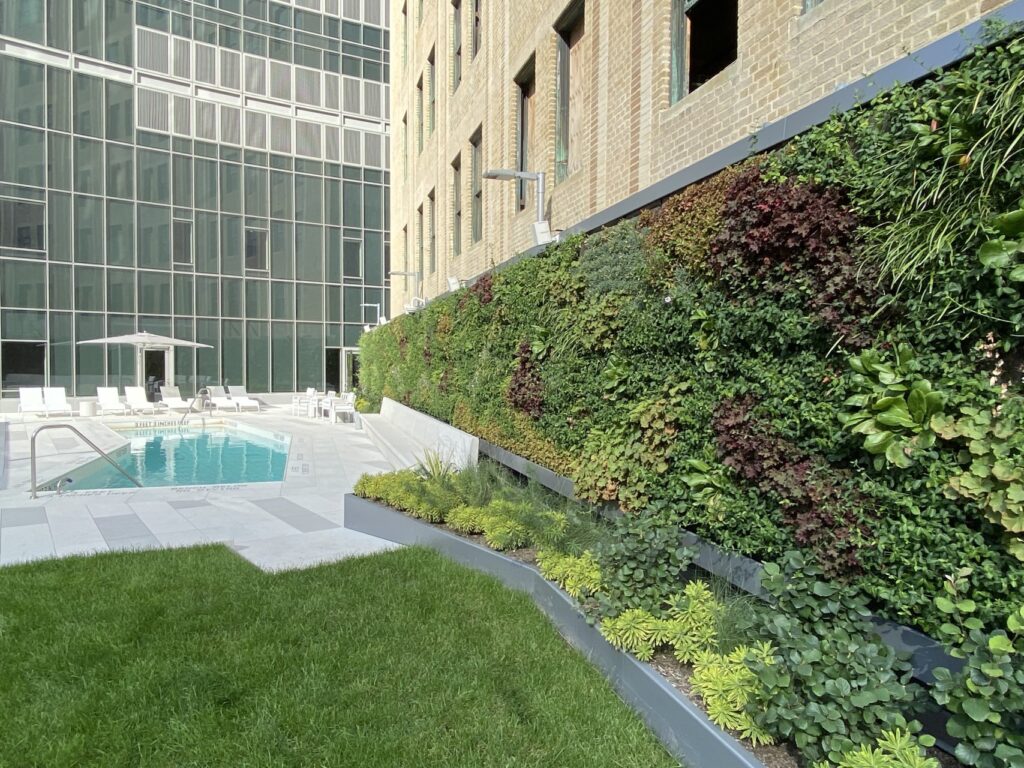 户外生活墙，植物可以承受金博宝188官网纽约寒冷的冬天和炎热的夏天
