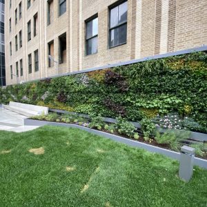 Climate-proof green wall with rooftop garden at the landmark Clock Tower in New York City