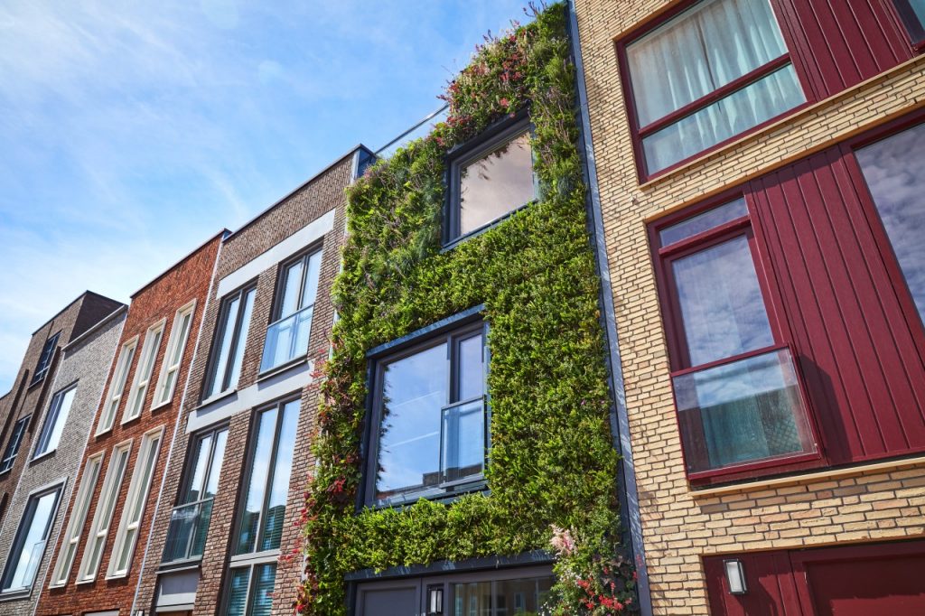 Green facades create sustainable cities