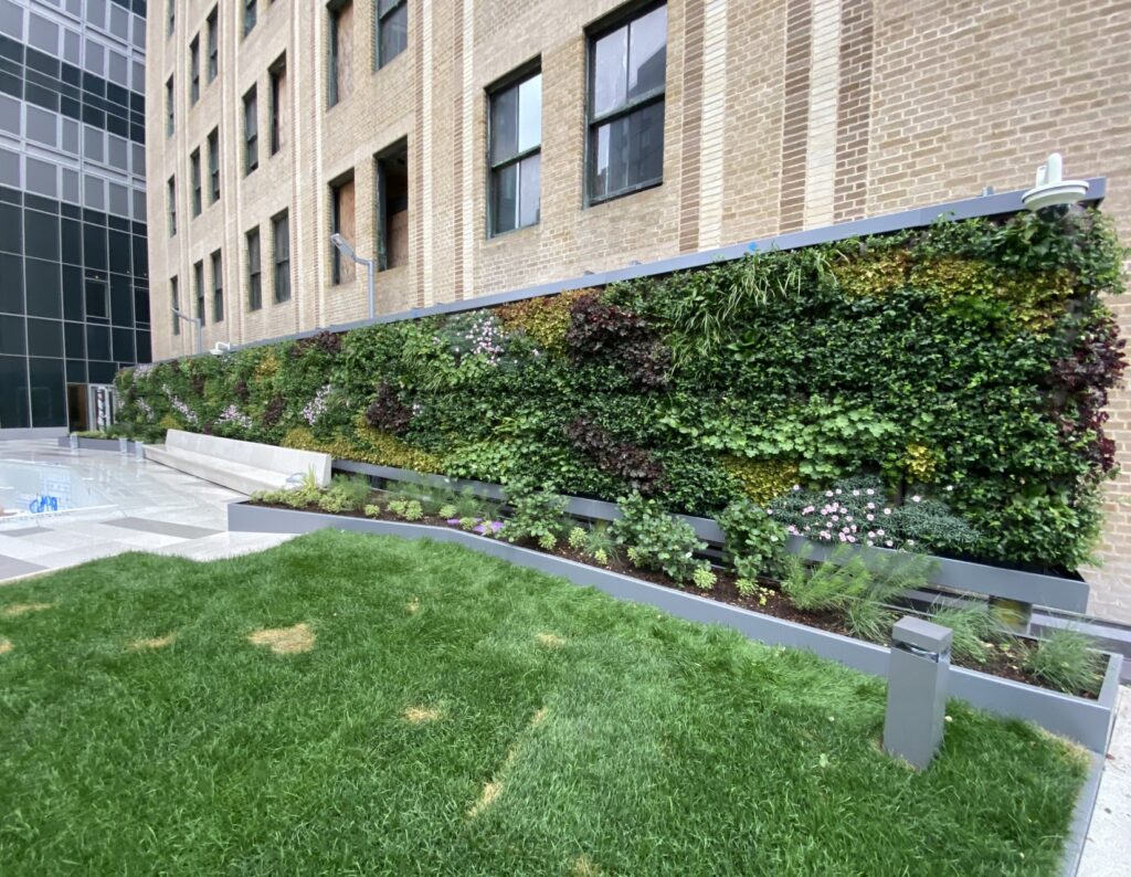 纽约市地标性钟楼屋顶花园的防气候绿色墙
